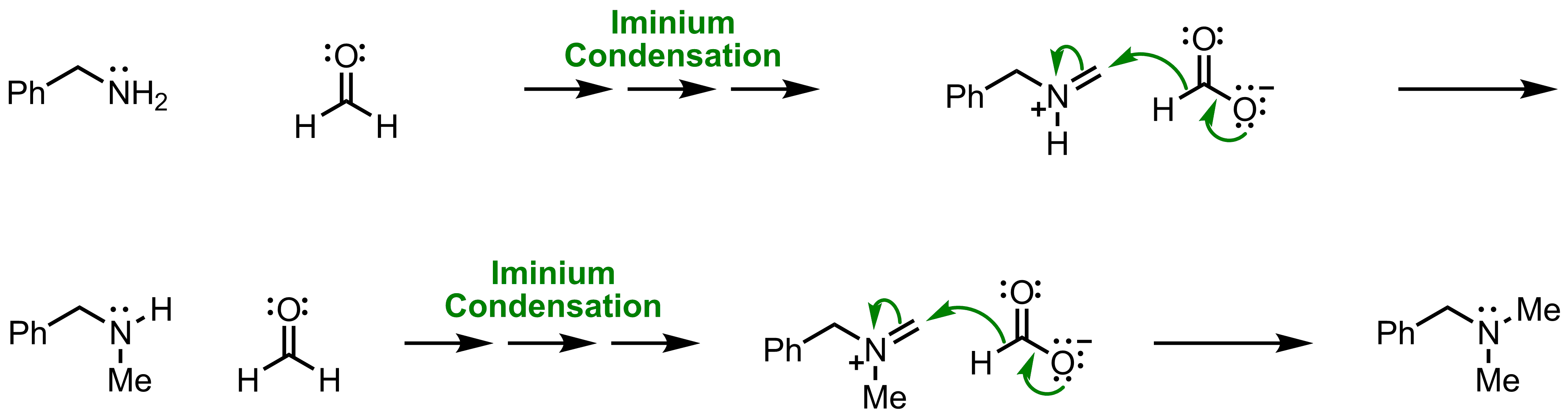 Mechanism of the Eschweiler-Clarke Reaction