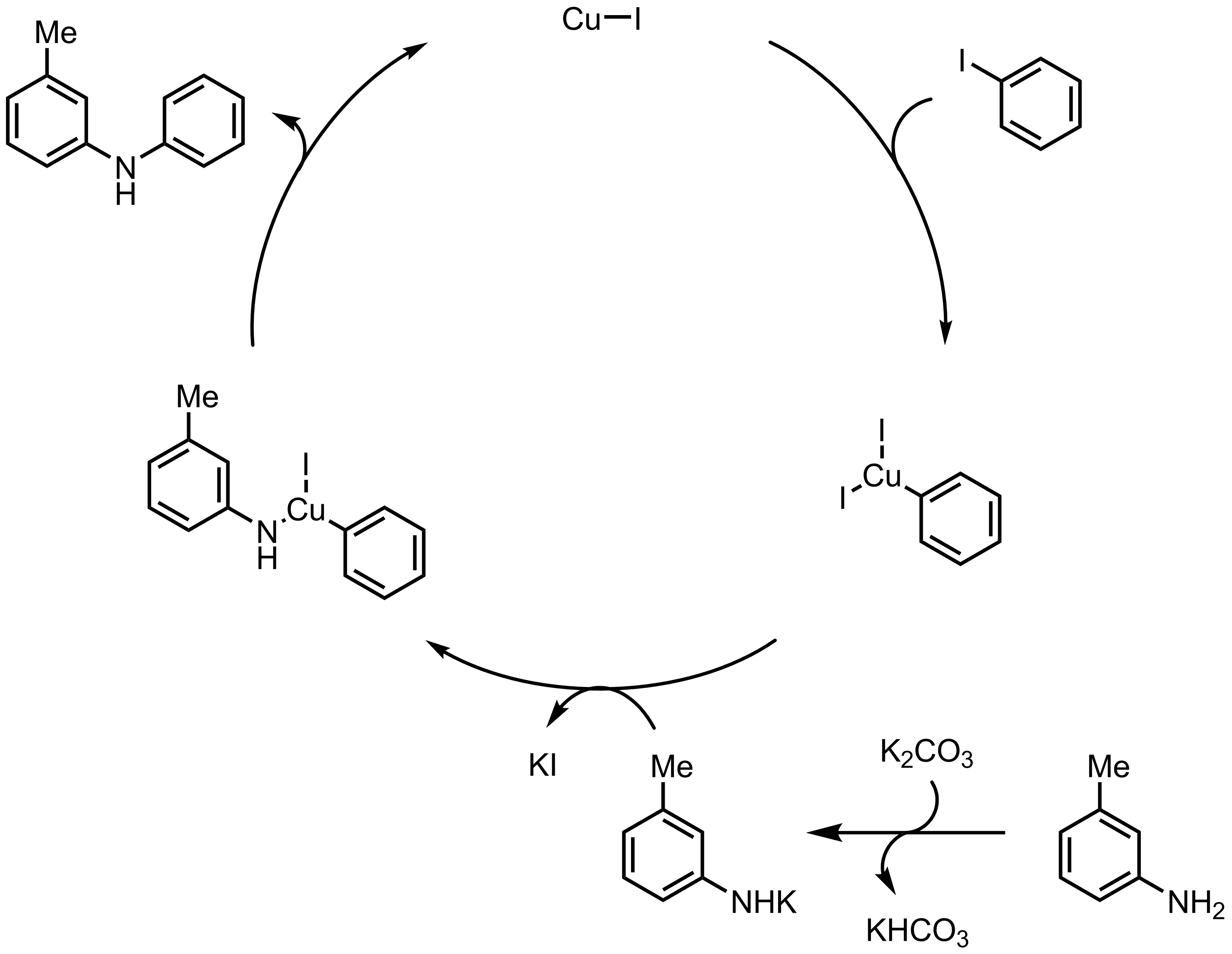 Mechanism of the Goldberg Reaction