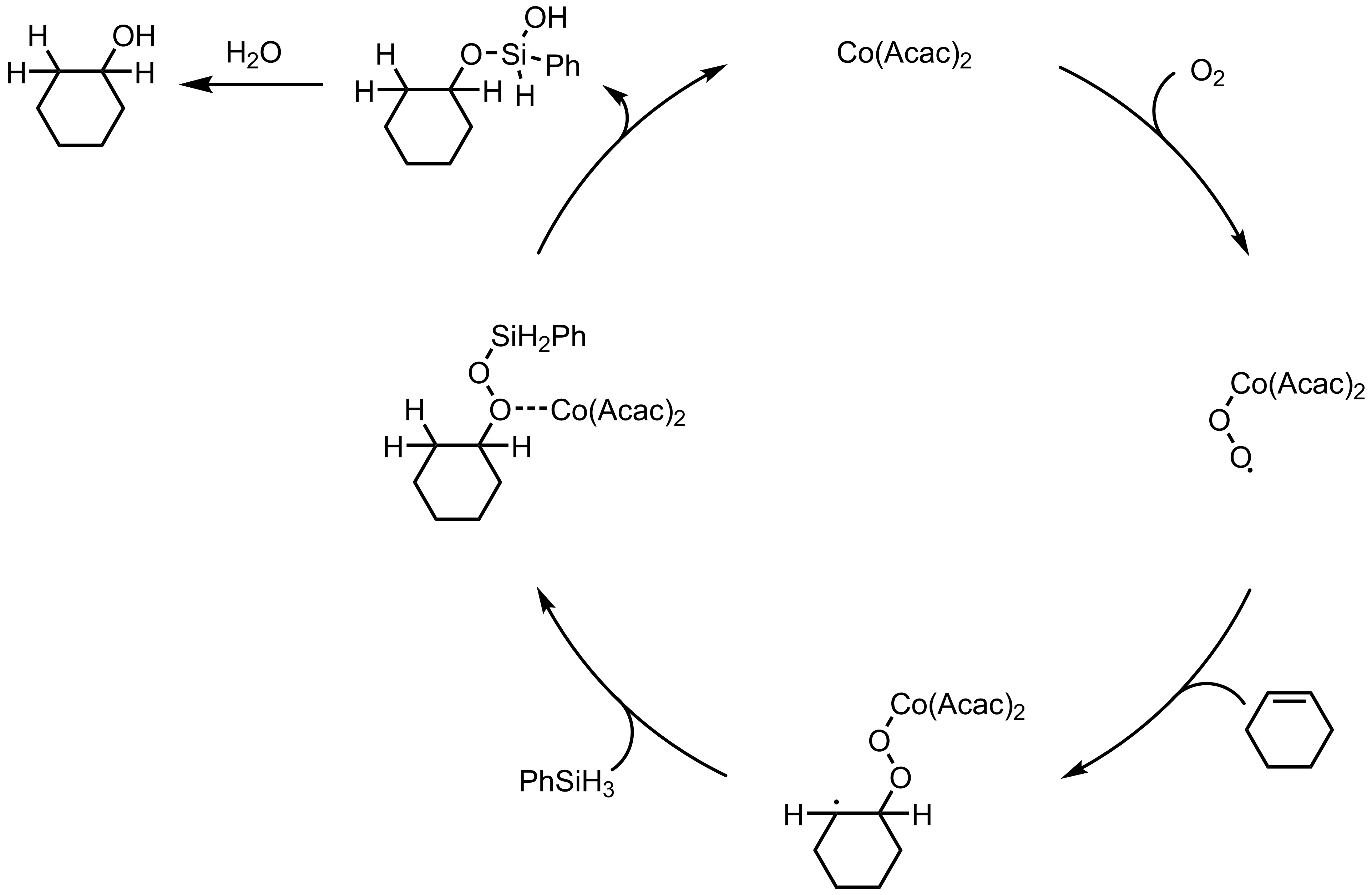 Mechanism of the Mukaiyama Hydration