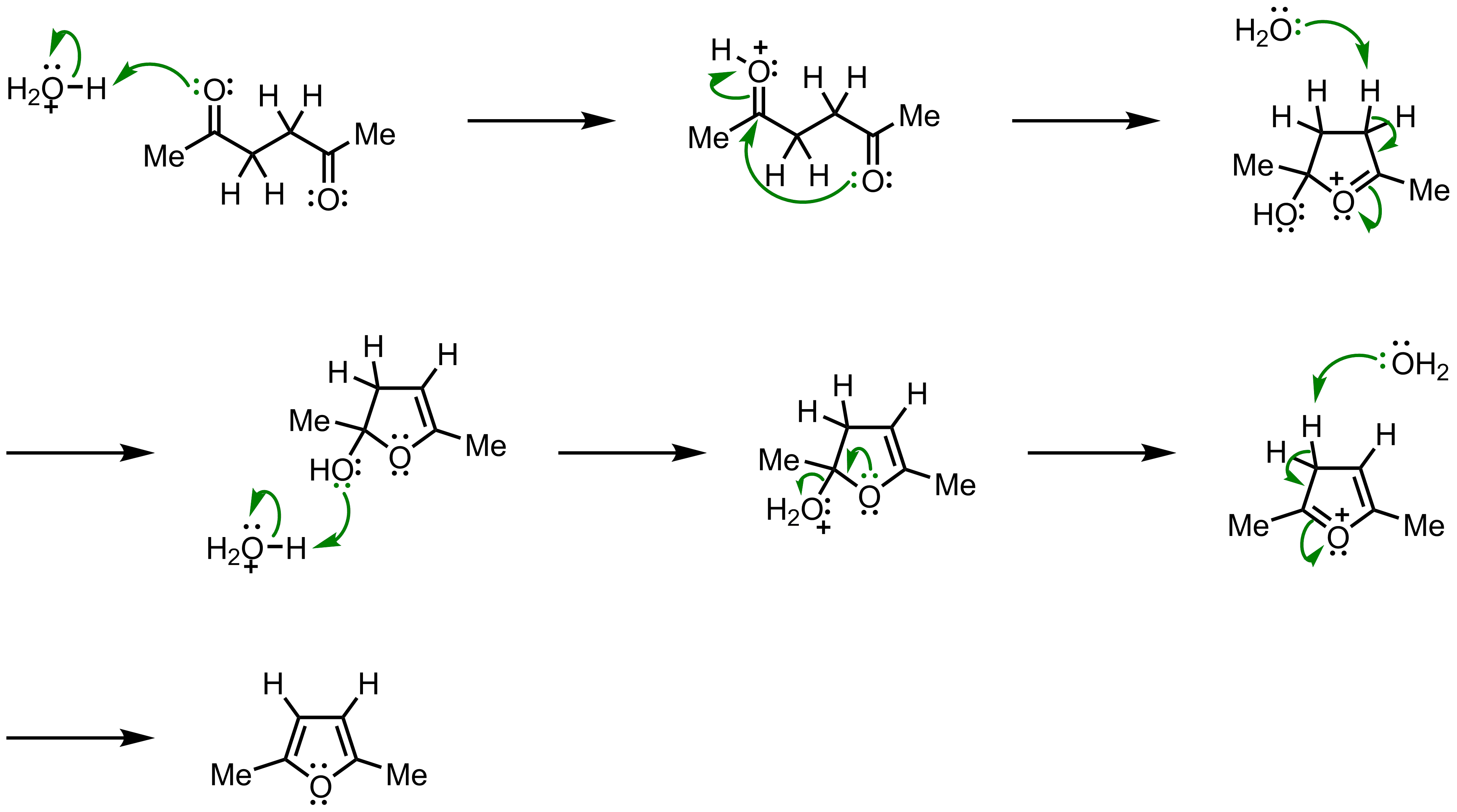 Mechanism of the Paal-Knorr Furan Synthesis