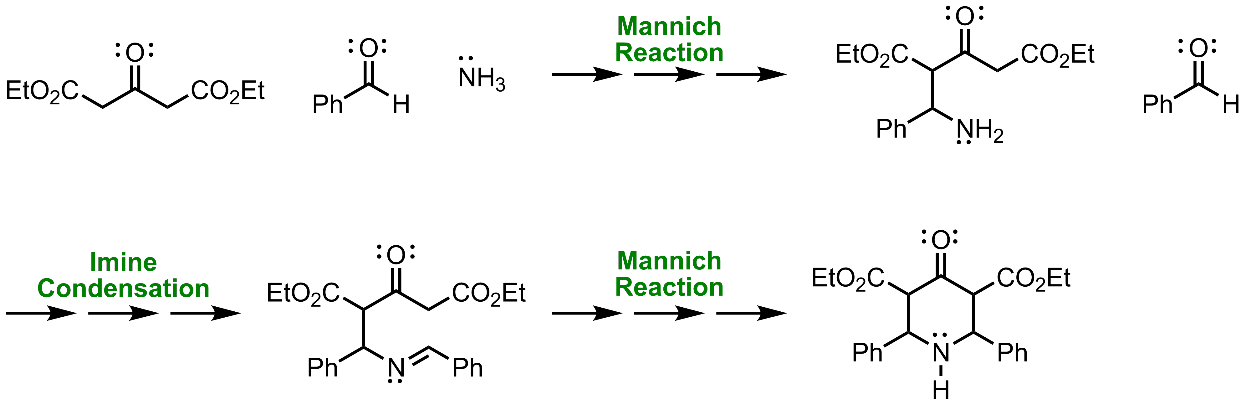 Mechanism of the Petrenko-Kritschenko Piperidone Synthesis