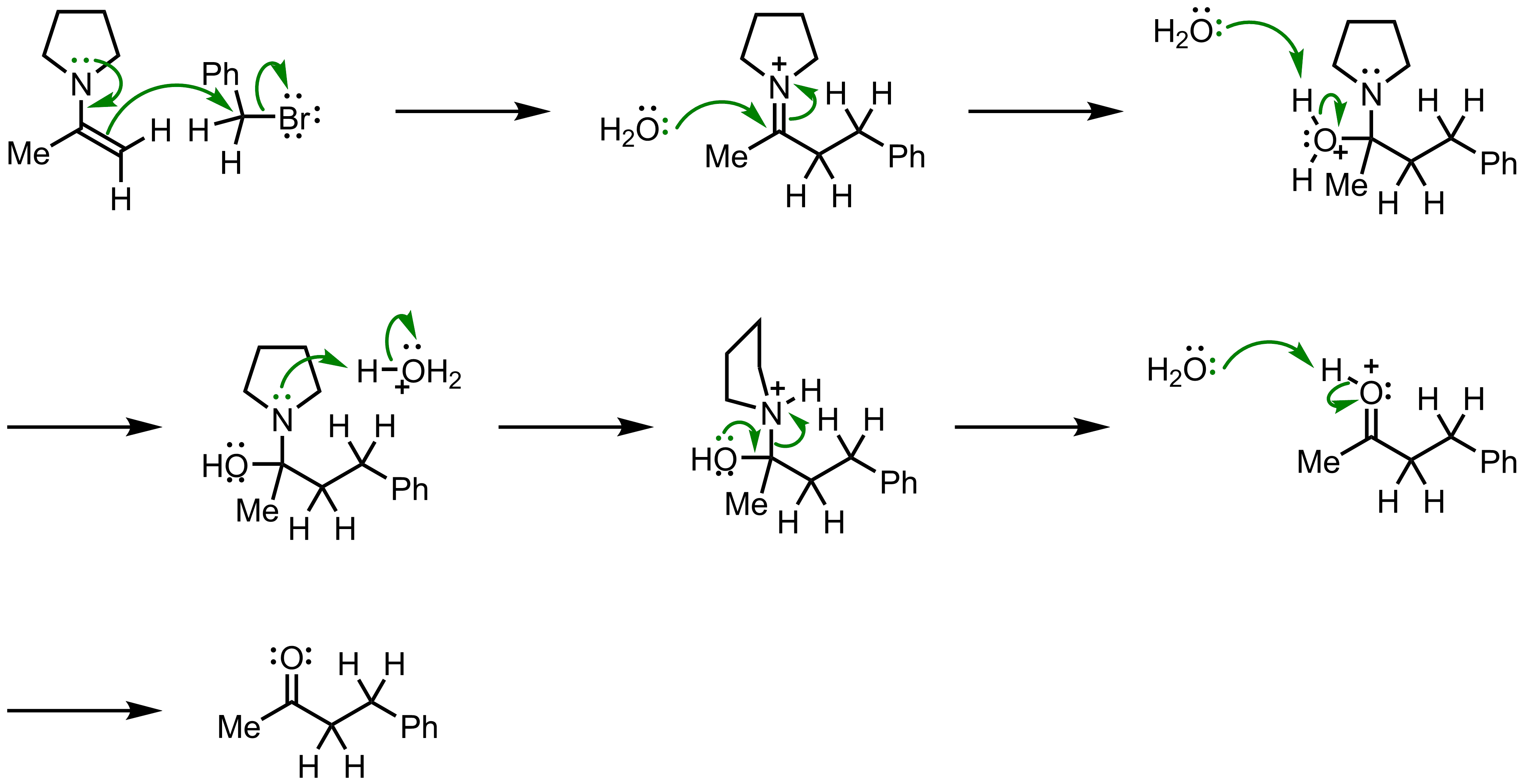 Mechanism of the Stork Enamine Synthesis