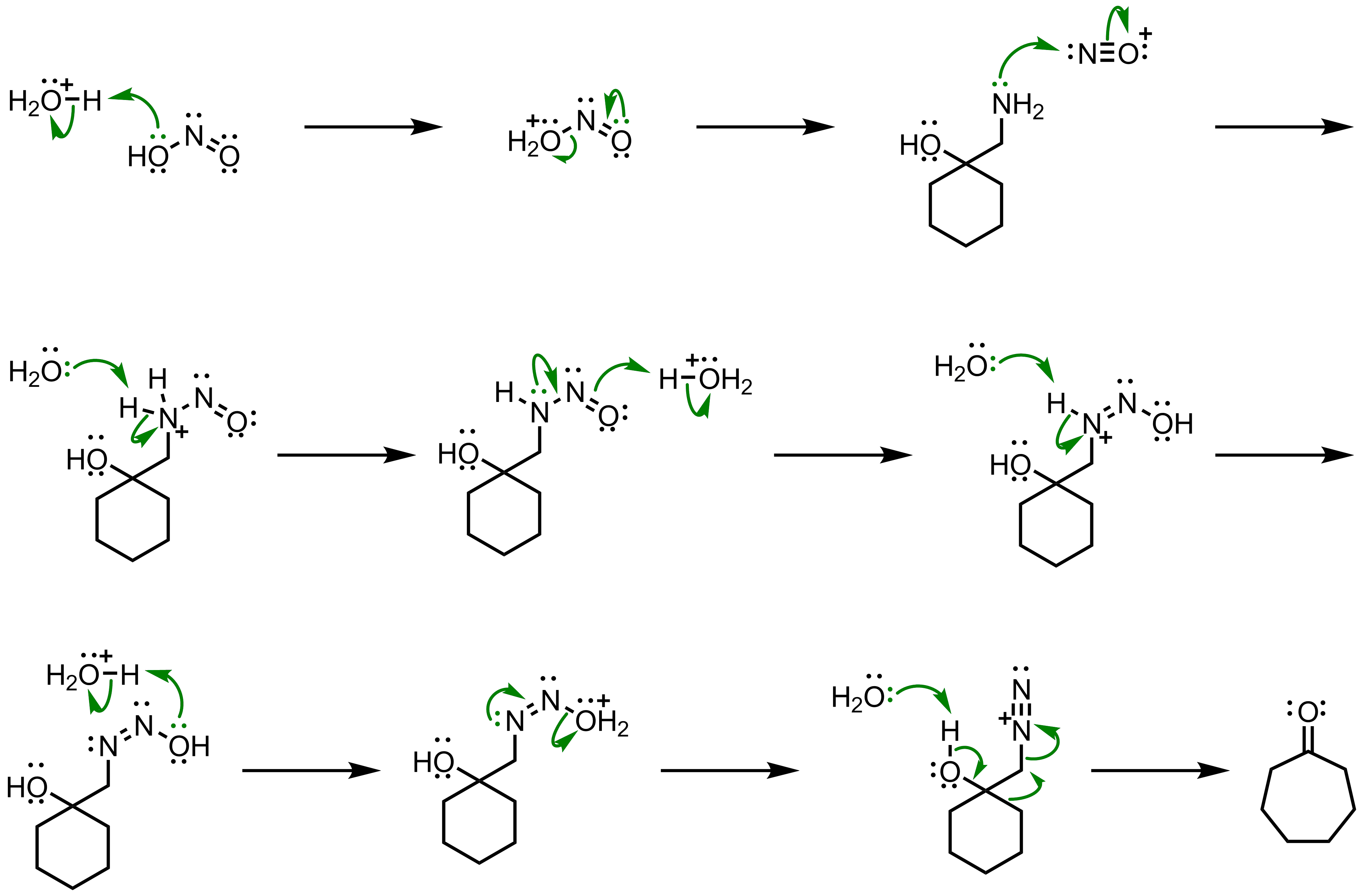 Mechanism of the Tiffeneau-Demjanov Rearrangement