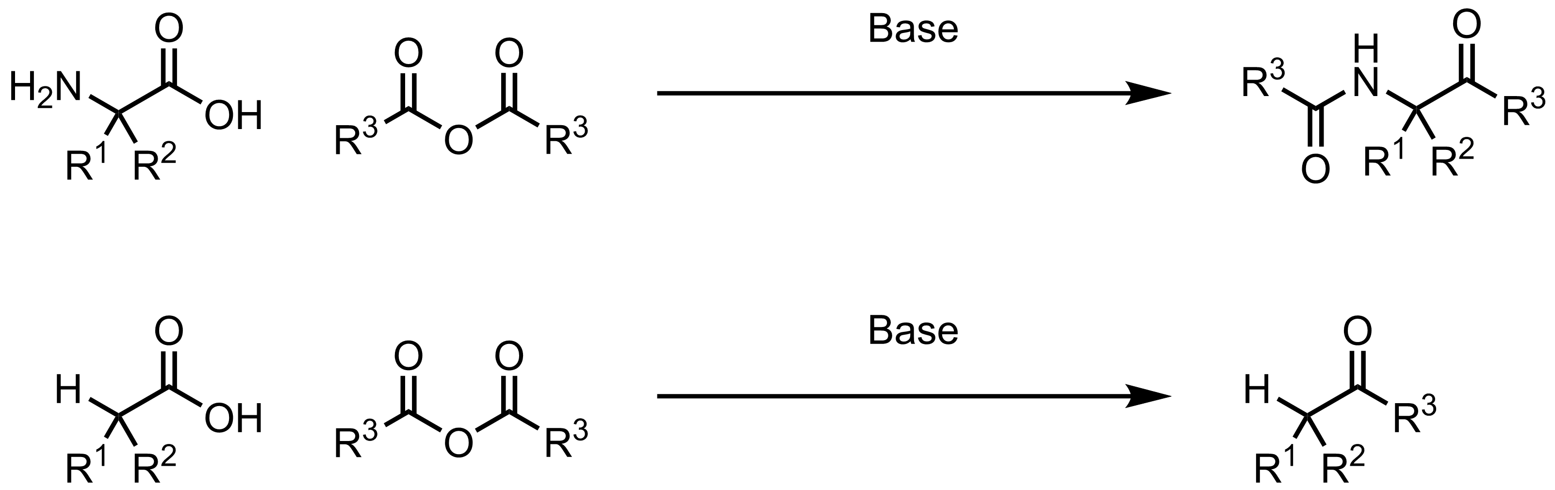 Schematic representation of the Dakin-West Reaction.