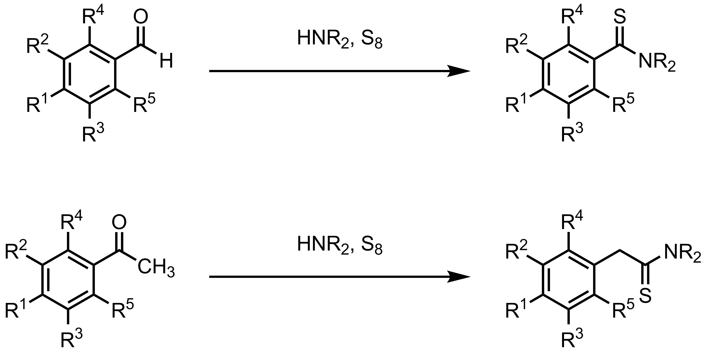 Schematic representation of the Willgerodt-Kindler Reaction.