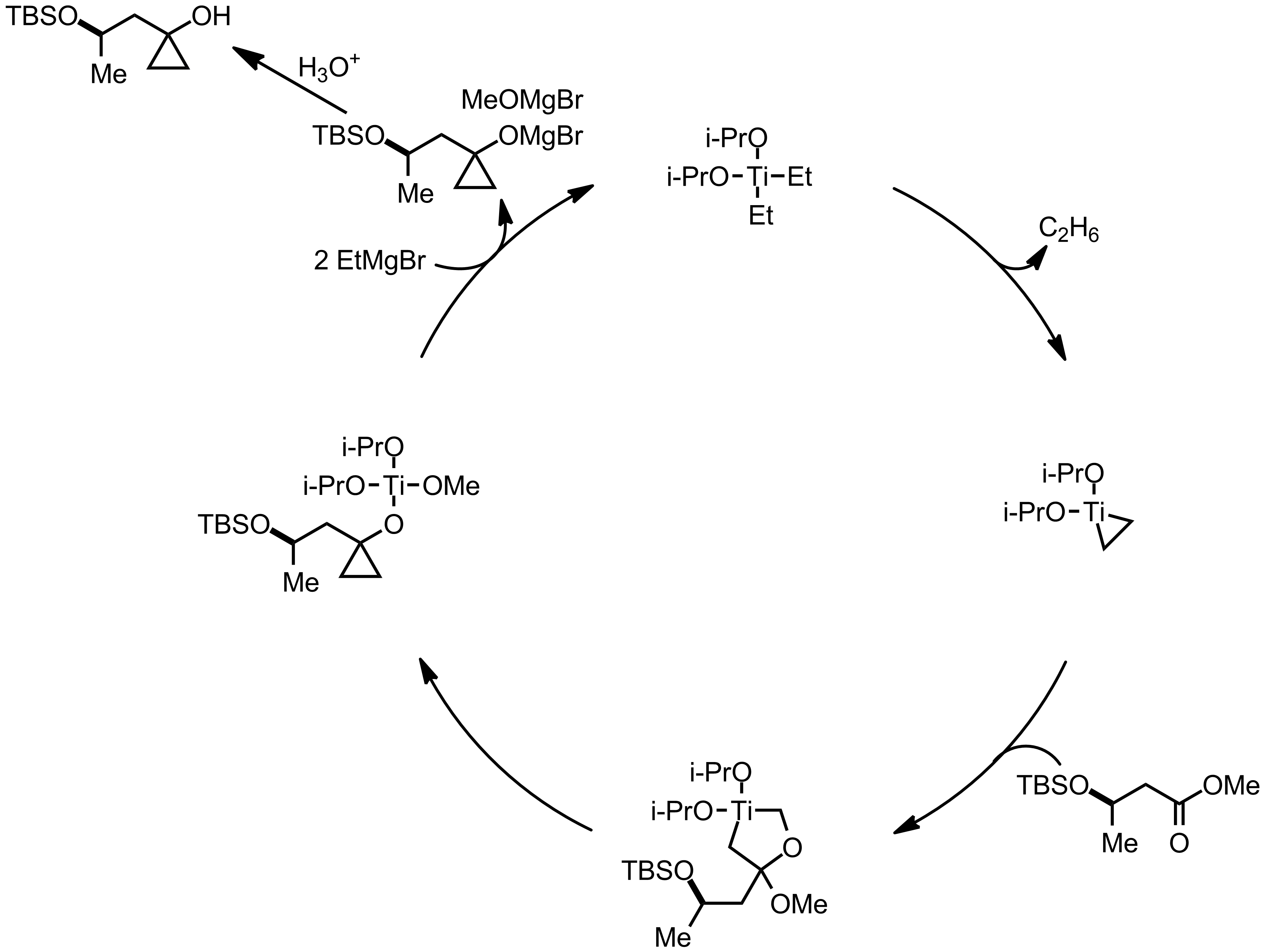 Mechanism of the Kulinkovich Reaction