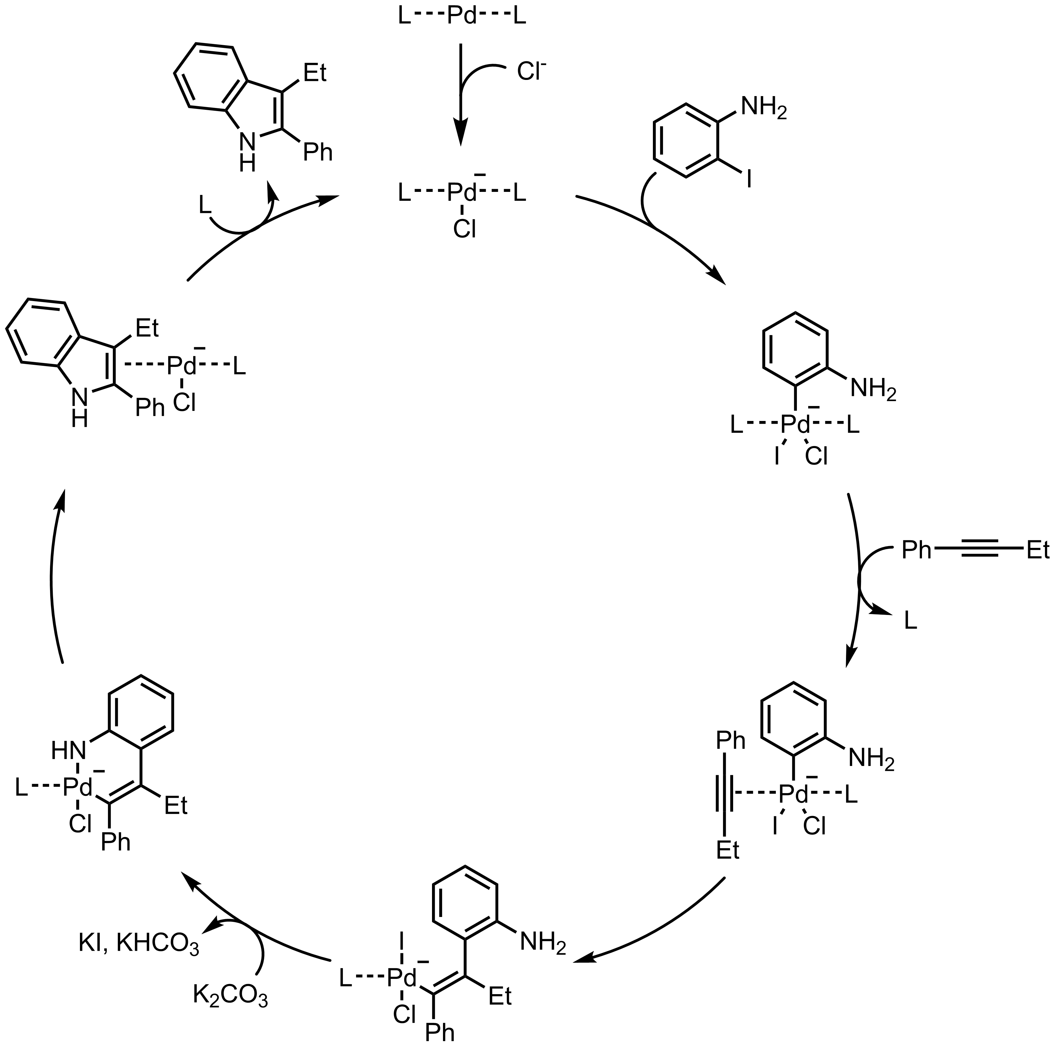 Mechanism of the Larock Indole Synthesis