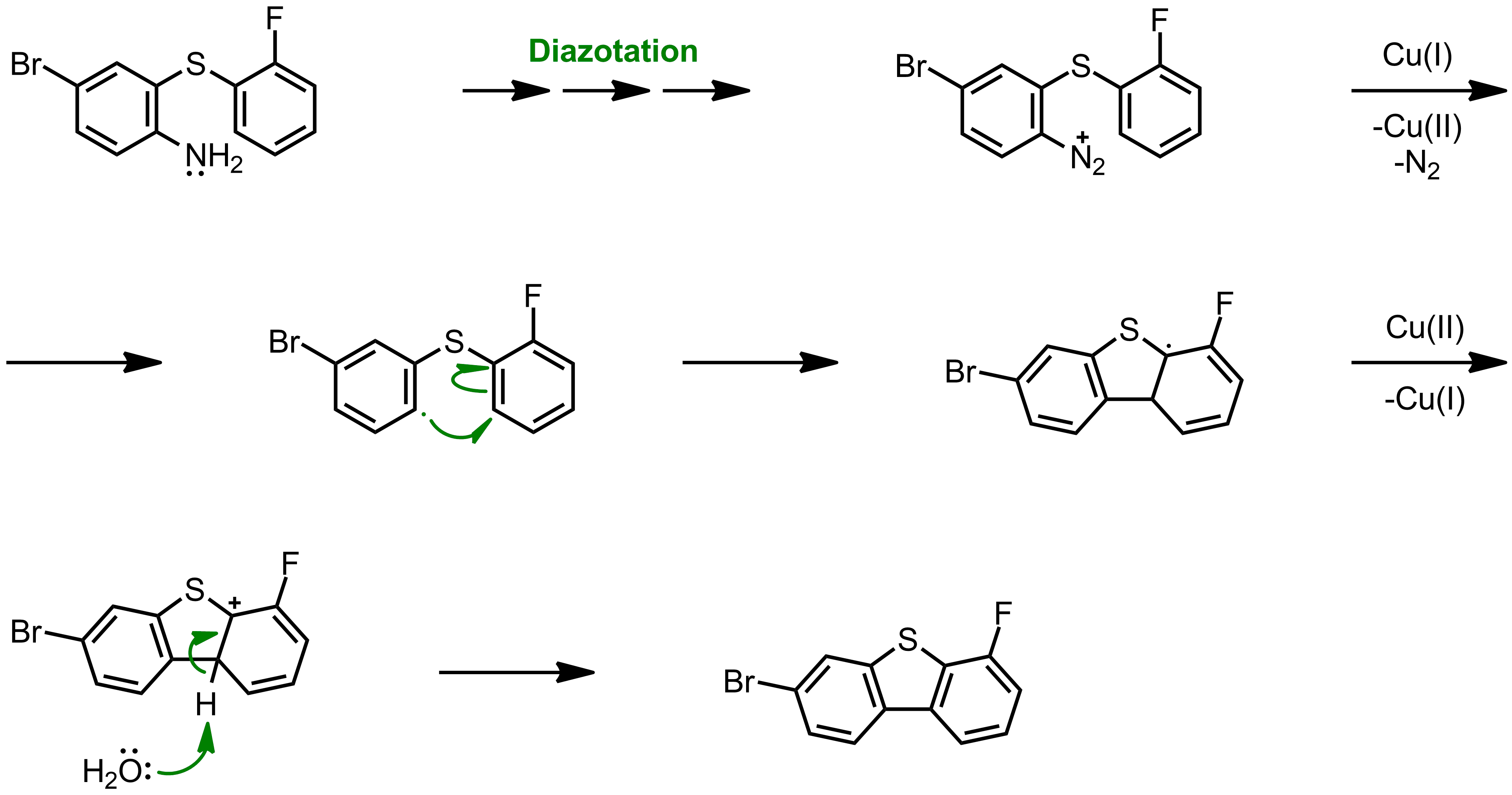 Mechanism of the Pschorr Reaction