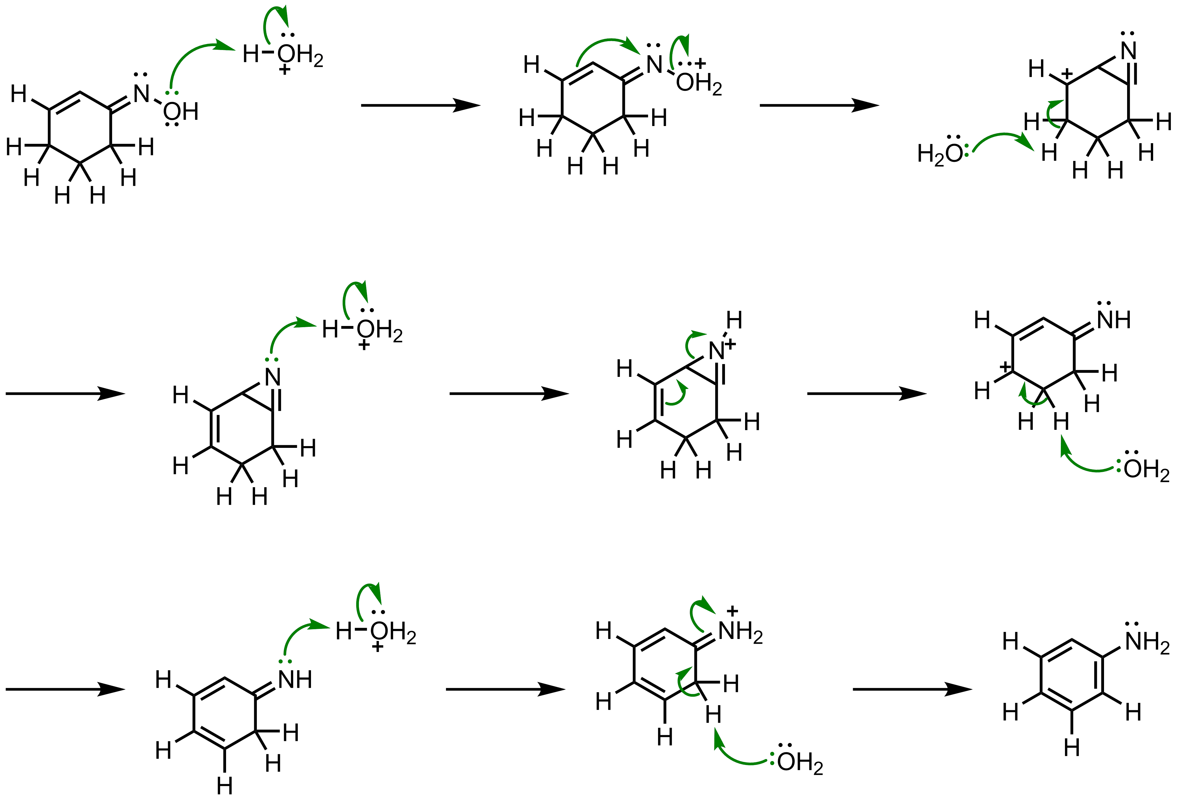 Mechanism of the Semmler-Wolff Reaction