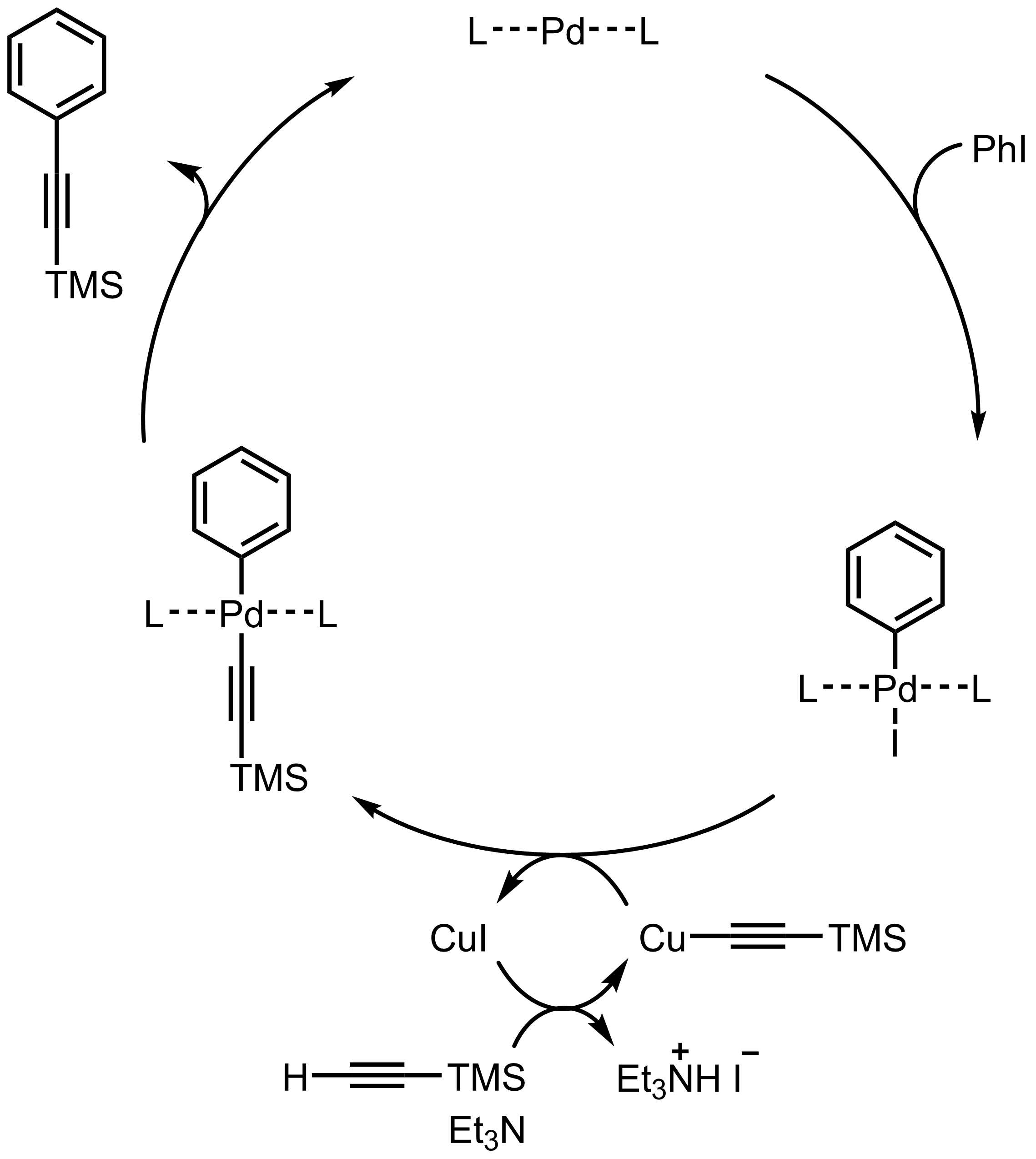 Mechanism of the Sonogashira Coupling