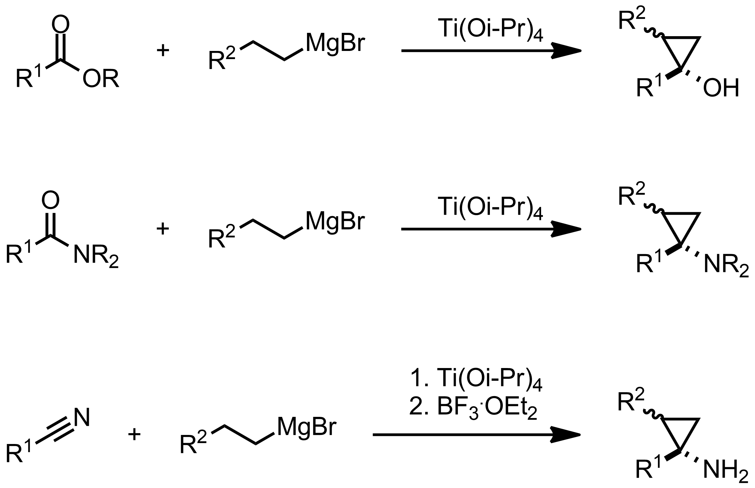 Schematic representation of the Kulinkovich Reaction.