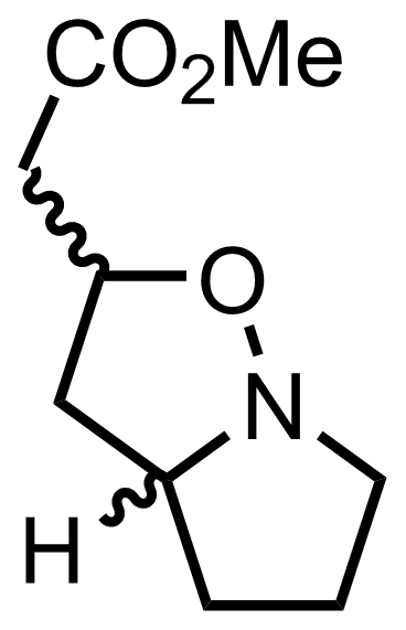 intermediate structure