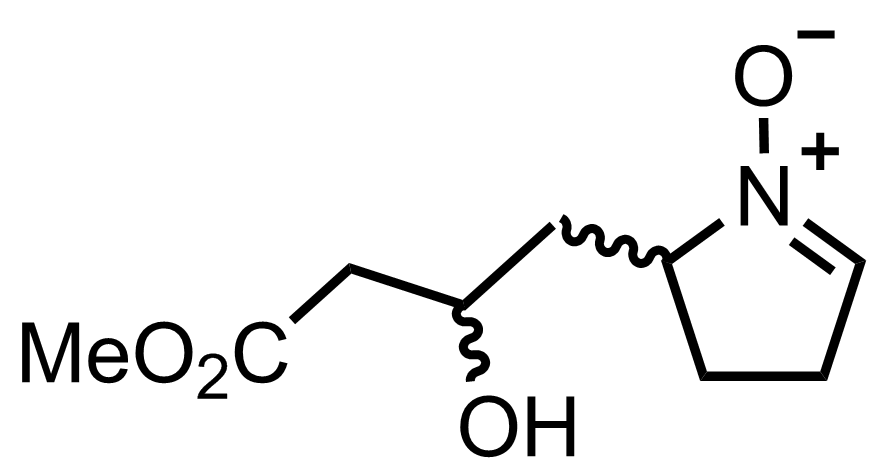 intermediate structure