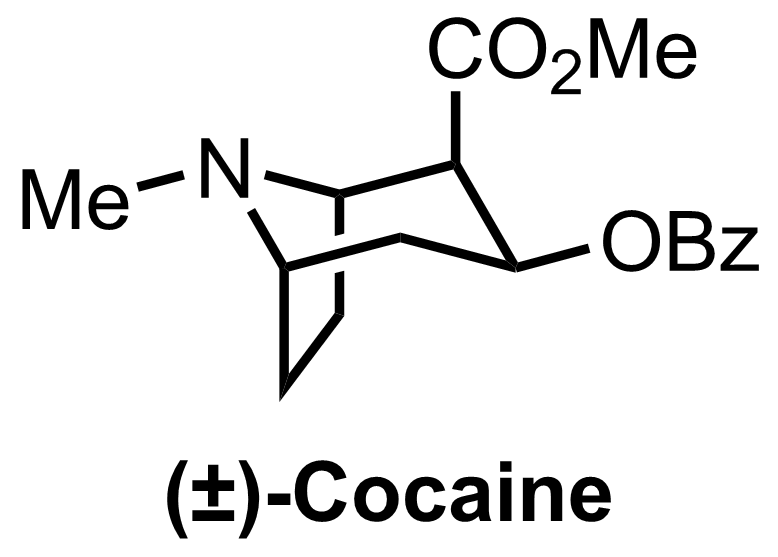 intermediate structure