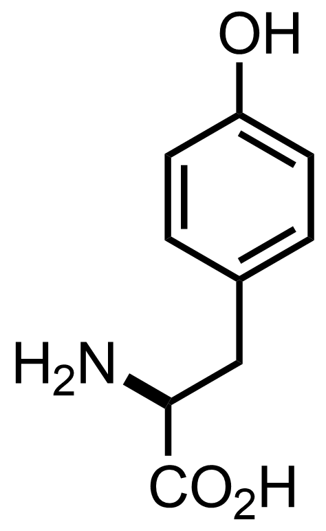 intermediate structure