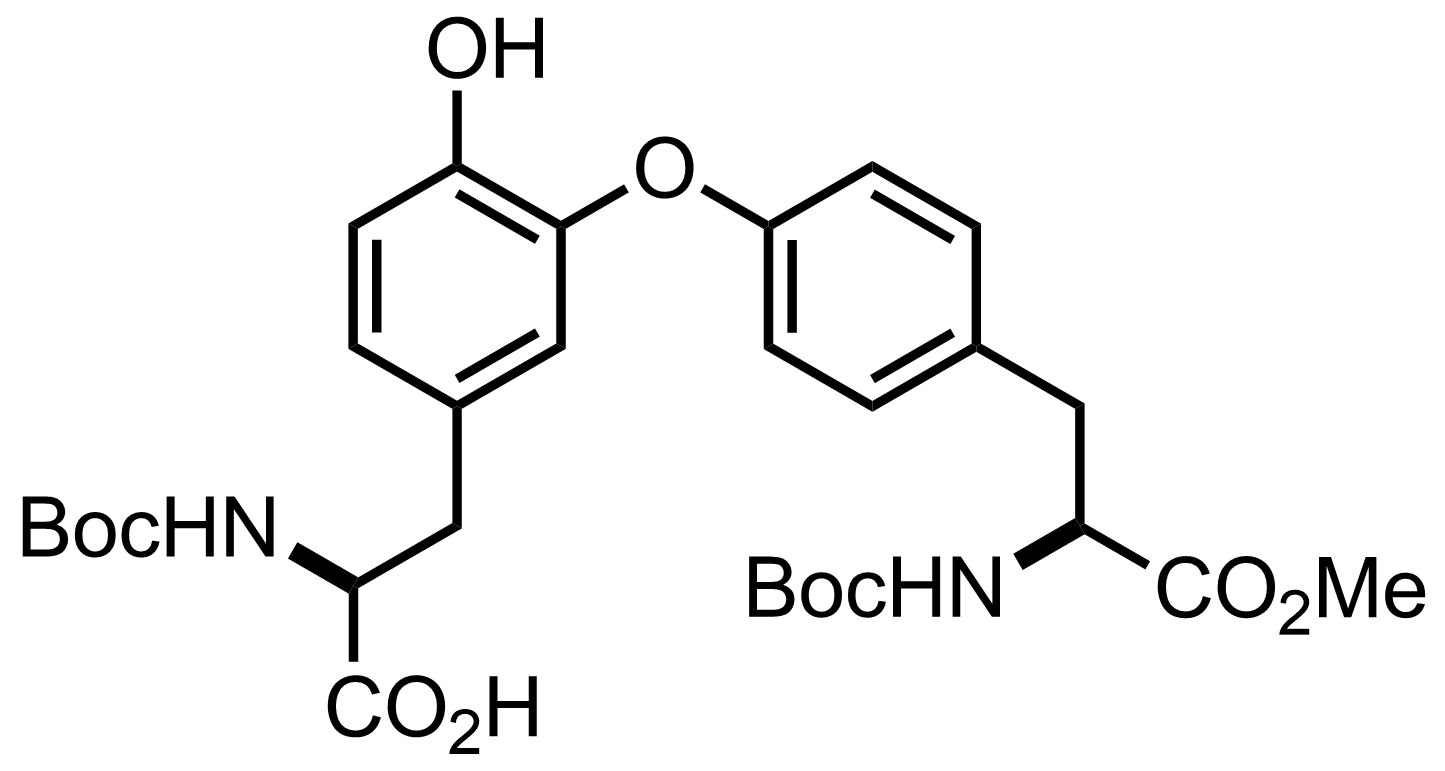 intermediate structure