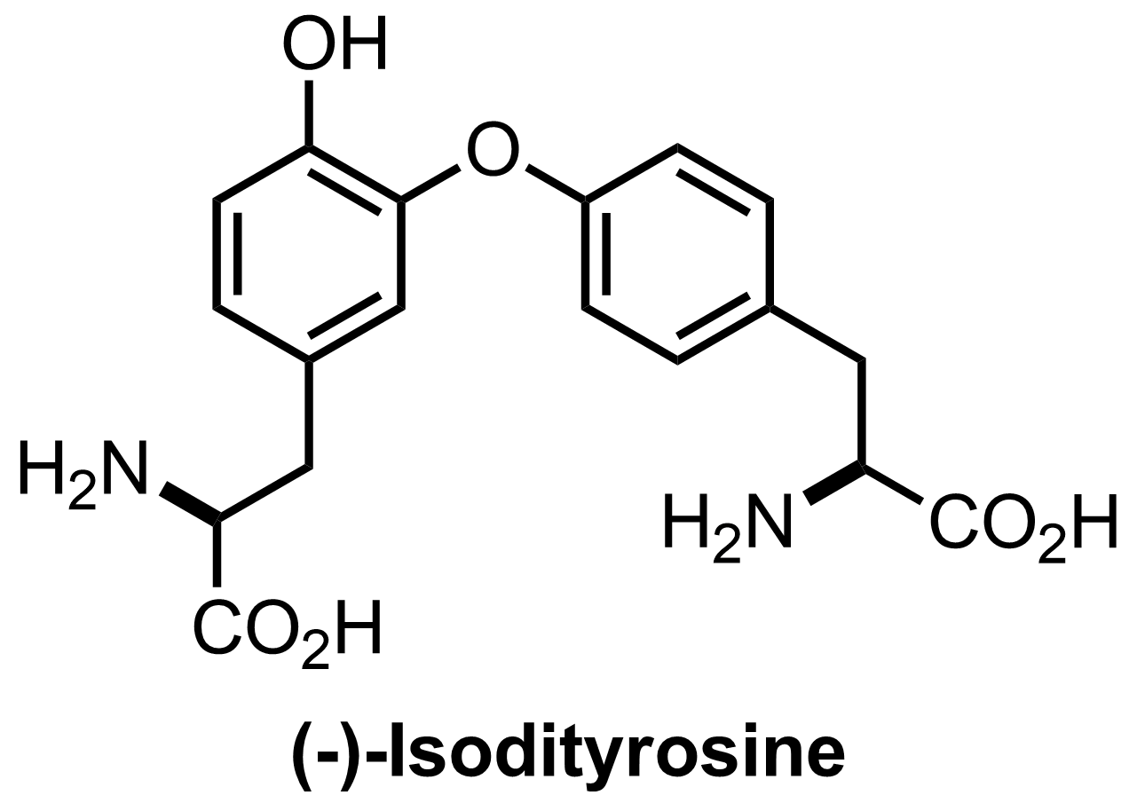 intermediate structure