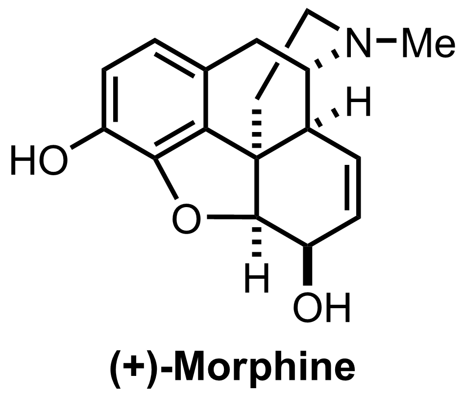 intermediate structure
