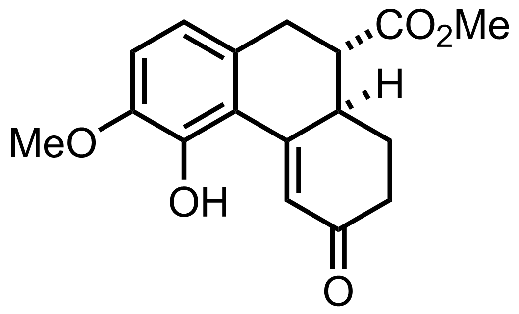 intermediate structure