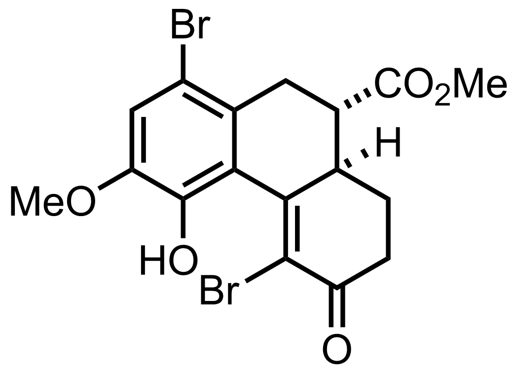 intermediate structure