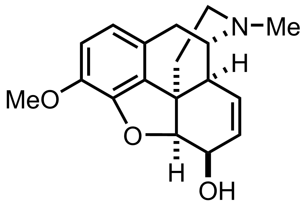 intermediate structure